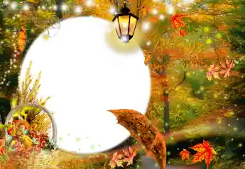 Fotoeffekt aus der Kategorie Herbst № 35073