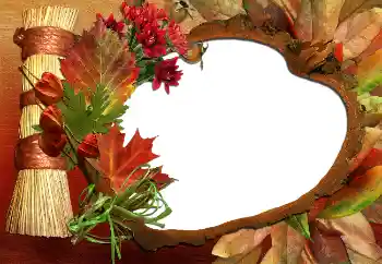 Fotoeffekt aus der Kategorie Herbst № 5620