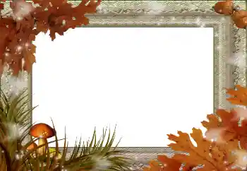 Fotoeffekt aus der Kategorie Herbst № 59045