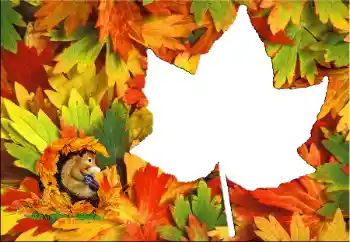 Fotoeffekt aus der Kategorie Herbst № 60345