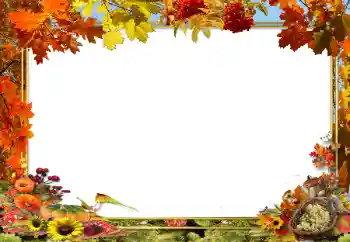 Fotoeffekt aus der Kategorie Herbst № 62654