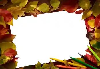 Fotoeffekt aus der Kategorie Herbst № 81689 Fotoeffekt aus der Kategorie Herbst № 81689