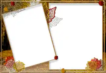 Fotoeffekt aus der Kategorie Herbst № 9719