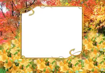 Fotoeffekt aus der Kategorie Herbst № 9797 Fotoeffekt aus der Kategorie Herbst № 9797