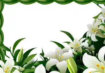 Fotoeffekt aus der Kategorie Frühling № 113129 Fotoeffekt aus der Kategorie Frühling № 113129