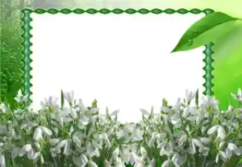 Fotoeffekt aus der Kategorie Frühling № 11868