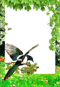 Fotoeffekt aus der Kategorie Frühling № 147761