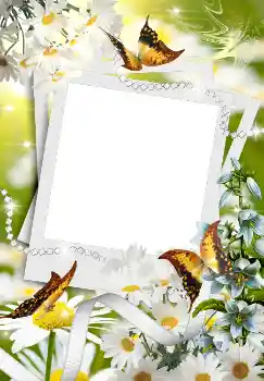 Fotoeffekt aus der Kategorie Frühling № 4611 Fotoeffekt aus der Kategorie Frühling № 4611