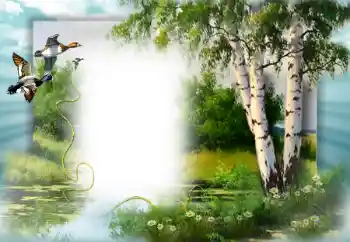 Fotoeffekt aus der Kategorie Frühling № 49552 Fotoeffekt aus der Kategorie Frühling № 49552