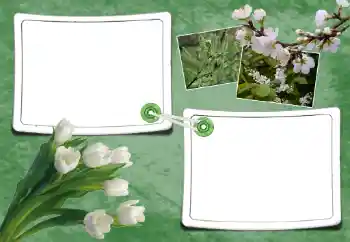 Fotoeffekt aus der Kategorie Frühling № 93095