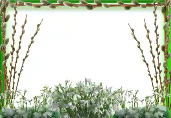 Fotoeffekt aus der Kategorie Frühling № 94595