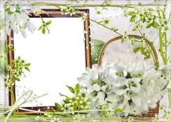 Fotoeffekt aus der Kategorie Frühling № 980