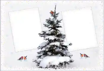 Fotoeffekt aus der Kategorie Winter № 105223