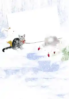 Fotoeffekt aus der Kategorie Winter № 105450