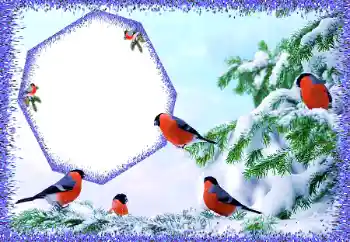 Fotoeffekt aus der Kategorie Winter № 105588