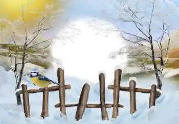 Fotoeffekt aus der Kategorie Winter № 110837