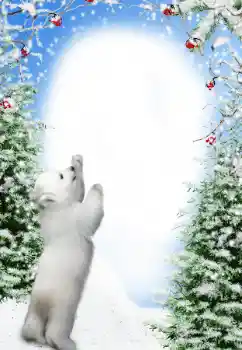 Fotoeffekt aus der Kategorie Winter № 111871