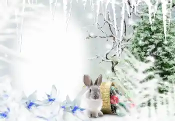 Fotoeffekt aus der Kategorie Winter № 128650 Fotoeffekt aus der Kategorie Winter № 128650