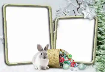 Fotoeffekt aus der Kategorie Winter № 148975 Fotoeffekt aus der Kategorie Winter № 148975