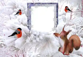 Fotoeffekt aus der Kategorie Winter № 160607