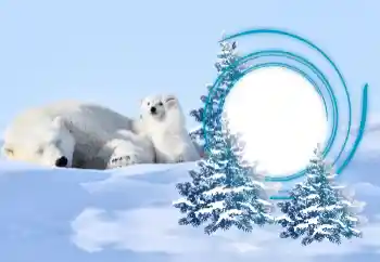 Fotoeffekt aus der Kategorie Winter № 163218