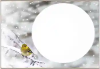 Fotoeffekt aus der Kategorie Winter № 163334