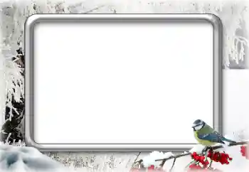 Fotoeffekt aus der Kategorie Winter № 166367