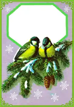 Fotoeffekt aus der Kategorie Winter № 177851