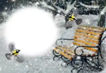 Fotoeffekt aus der Kategorie Winter № 191760 Fotoeffekt aus der Kategorie Winter № 191760