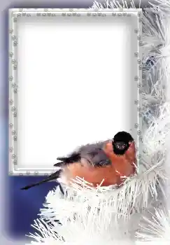 Fotoeffekt aus der Kategorie Winter № 3339