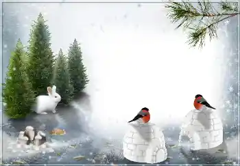 Fotoeffekt aus der Kategorie Winter № 3360