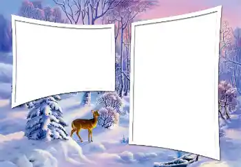 Fotoeffekt aus der Kategorie Winter № 3363