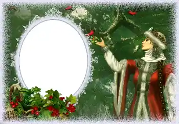 Fotoeffekt aus der Kategorie Winter № 3372