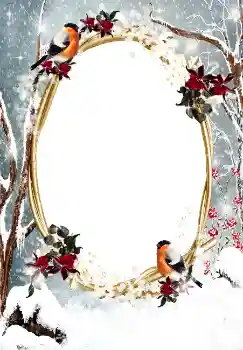 Fotoeffekt aus der Kategorie Winter № 3374