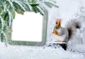 Fotoeffekt aus der Kategorie Winter № 3375