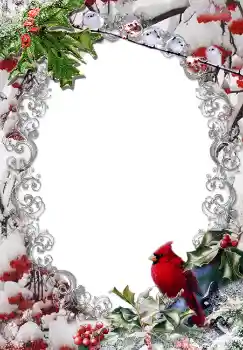 Fotoeffekt aus der Kategorie Winter № 3380