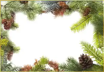 Fotoeffekt aus der Kategorie Winter № 3395