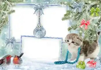 Fotoeffekt aus der Kategorie Winter № 38960