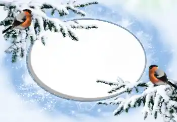 Fotoeffekt aus der Kategorie Winter № 42676