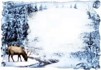 Fotoeffekt aus der Kategorie Winter № 42685