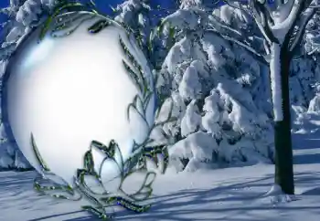 Fotoeffekt aus der Kategorie Winter № 5464