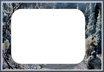 Fotoeffekt aus der Kategorie Winter № 60435