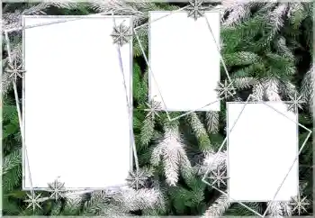 Fotoeffekt aus der Kategorie Winter № 64393