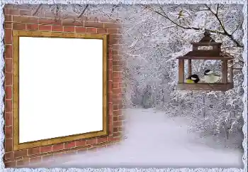 Fotoeffekt aus der Kategorie Winter № 65557