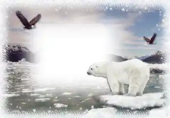 Fotoeffekt aus der Kategorie Winter № 67044