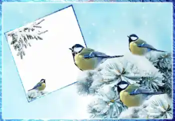 Fotoeffekt aus der Kategorie Winter № 87962