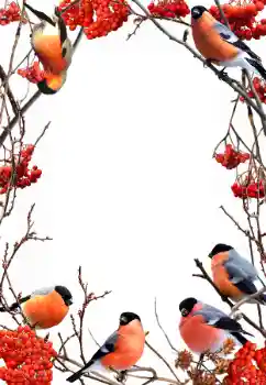 Fotoeffekt aus der Kategorie Winter № 90578 Fotoeffekt aus der Kategorie Winter № 90578