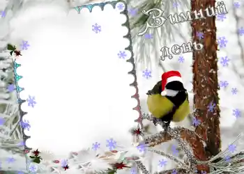 Fotoeffekt aus der Kategorie Winter № 974