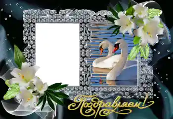 Fotoeffekt aus der Kategorie Hochzeitsrahmen № 130161. Beschriftung auf dem Rahmen: Gratulation! Fotoeffekt aus der Kategorie Hochzeitsrahmen № 130161. Beschriftung auf dem Rahmen: Gratulation!