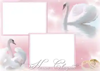 Fotoeffekt aus der Kategorie Hochzeitsrahmen № 168. Beschriftung auf dem Rahmen: Unsere Hochzeit Fotoeffekt aus der Kategorie Hochzeitsrahmen № 168. Beschriftung auf dem Rahmen: Unsere Hochzeit